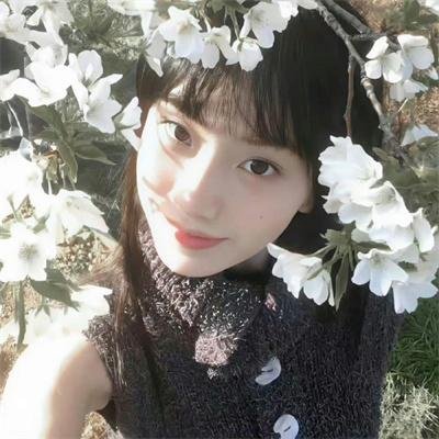戈德堡一家第八季
